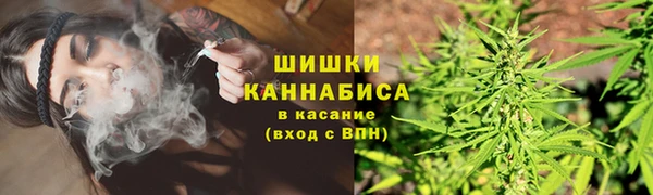 шишки Алексин