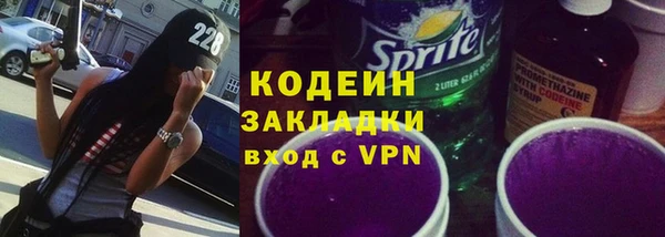 прущие грибы Рославль