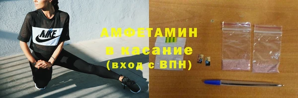 шишки Алексин
