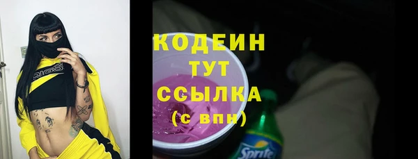 прущие грибы Рославль