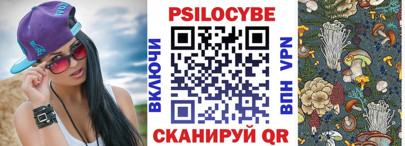купить закладку  Крым  Псилоцибиновые грибы Psilocybine cubensis 
